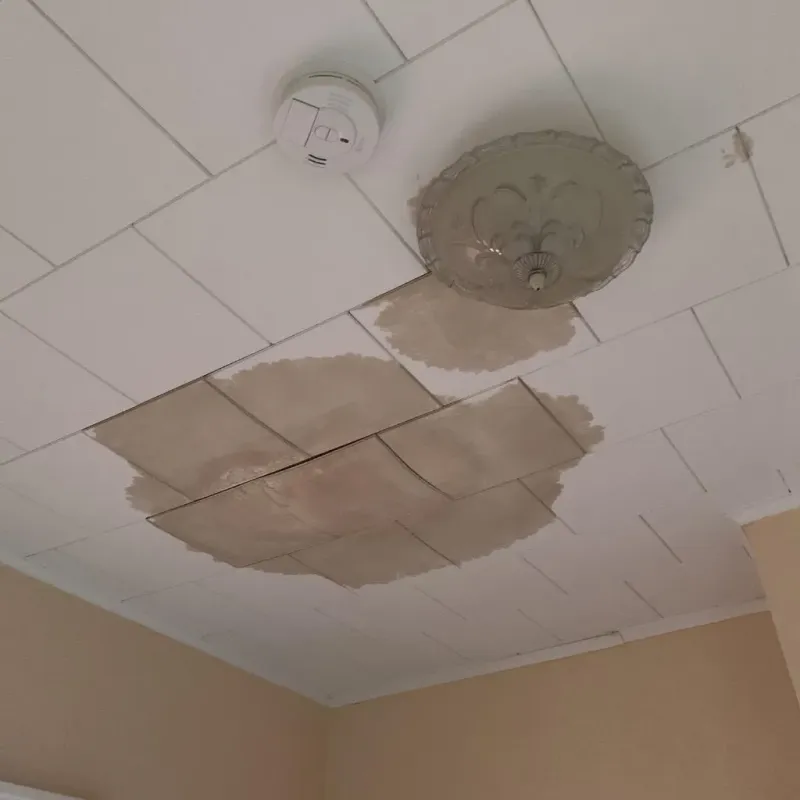 Ceiling Water Damage Repair in Sanger, TX