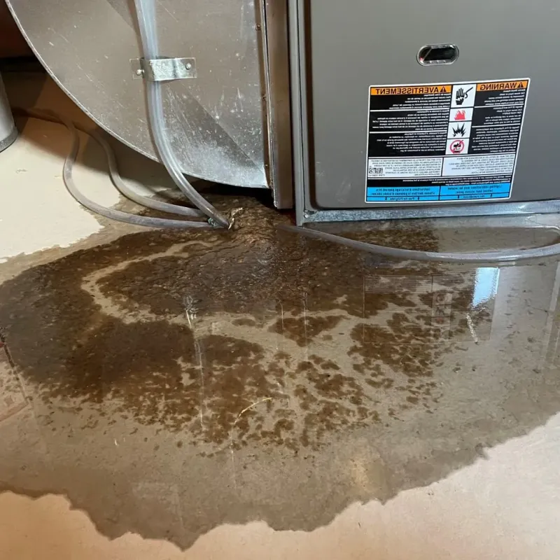 Pipe Burst and Leak Restoration in Sanger, TX