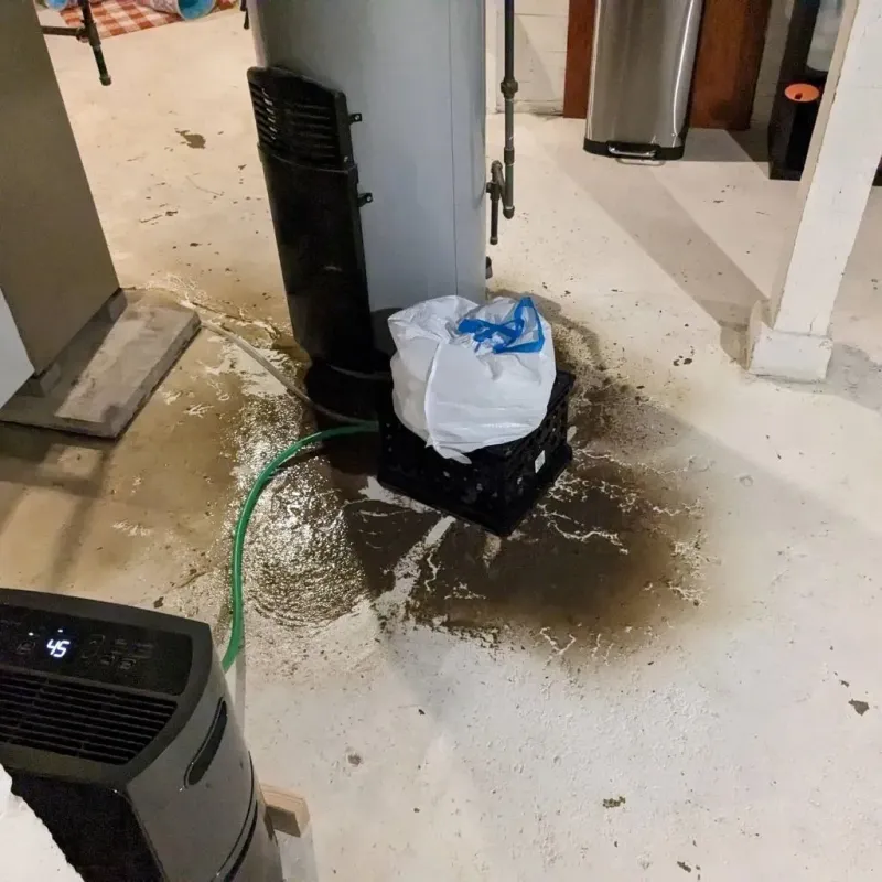 Sewage Backup Cleanup Service in Sanger, TX